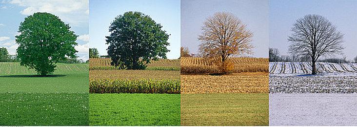 《命运2：邪姬魅影》上线时间 预购应该选择普通版还是豪华版