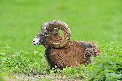 《魔法工艺》登陆Steam 肉鸽魔法构建ACT