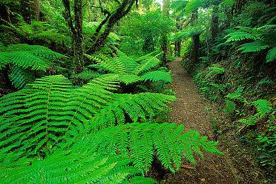 《奥特罗斯》新预告片展示战斗和艺术效果